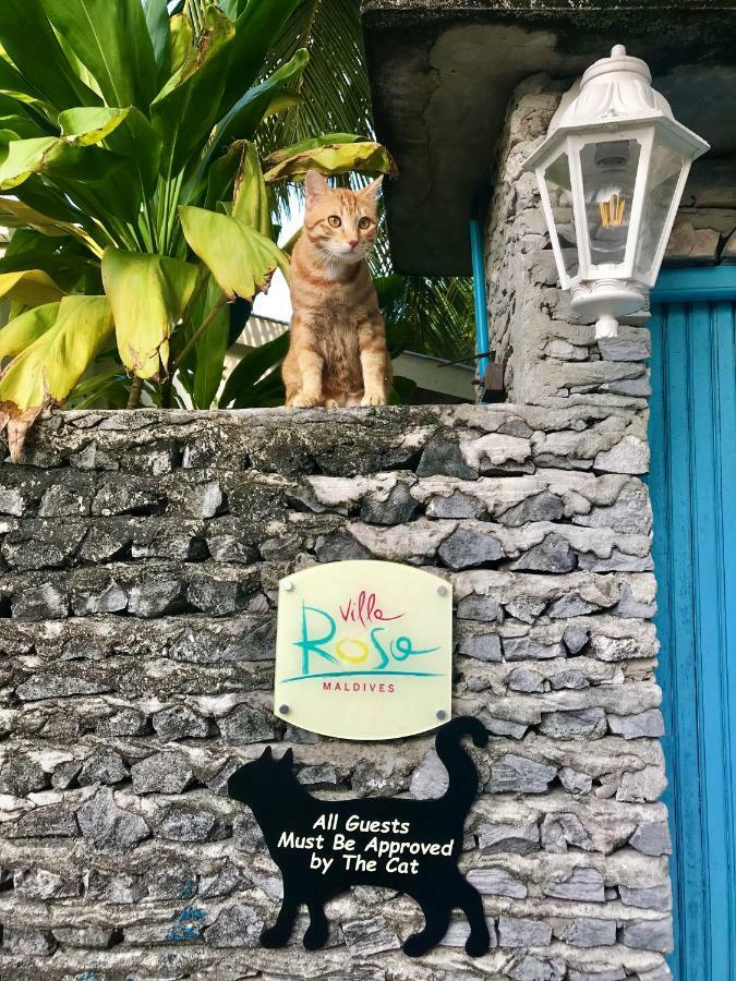 Villa Rosa Maldives Feridhoo Luaran gambar